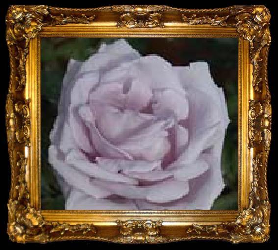 framed  unknow artist White Realistic Rose, ta009-2